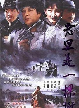 《同闯歌坛》电影高清完整版