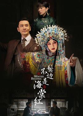 《白痴爱上两个你》电视剧高清全集