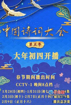 《魅影奸细》电影高清完整版