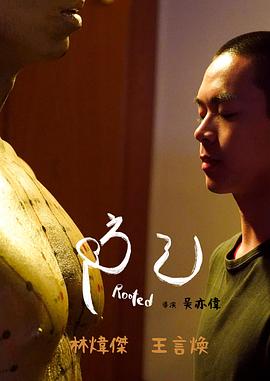 《玫瑰之战》电视剧高清全集
