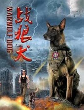 《赤脚绅士粤语》电视剧高清全集