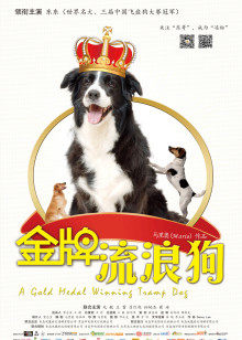 《解码危机》电影高清完整版