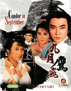 《99.9：刑事专业律师 第二季》电视剧高清全集