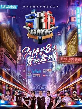 《秀丽芳华》电视剧高清全集
