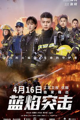 《天鹅纹章》电视剧高清全集