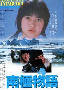 《西杜夫人查询实录》电视剧高清全集