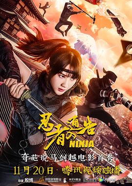 《飞翔于天边的夜鹰》电视剧高清全集