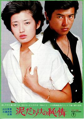 《南宫谣》电视剧高清全集