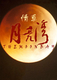 《少年魔法师：后继者》电视剧高清全集