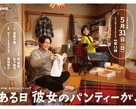 《乔可·安华的噩梦与白日梦》电视剧高清全集