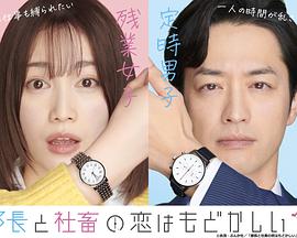 《美国谍梦第五季》电视剧高清全集