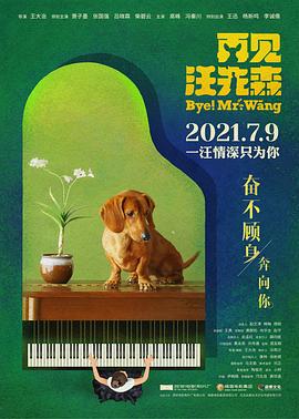 《疆土安全第二季》电视剧高清全集