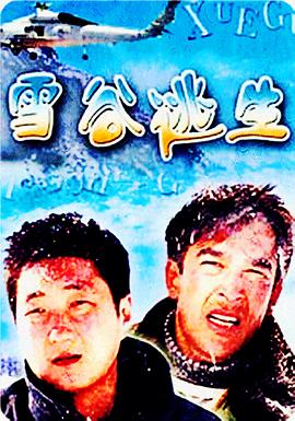 《停火2025》电影高清完整版