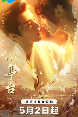 《心花怒放》电影高清完整版
