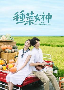 《武当派：美国传奇第三季》电视剧高清全集