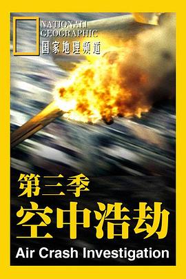 《蜂蜜走运草》电视剧高清全集