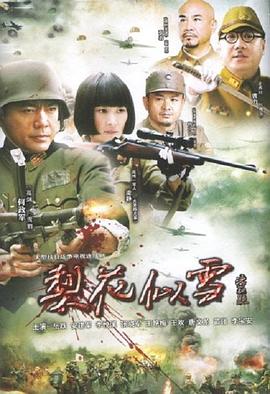 《九命奇冤梁天来》电视剧高清全集