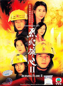 《塞外奇侠》电视剧高清全集