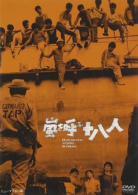 《谜巢》电影高清完整版