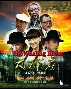 《奥秘博士第十一季》电视剧高清全集