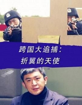 《火速救兵4粤语》电视剧高清全集