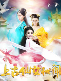 《中心车站》电影高清完整版