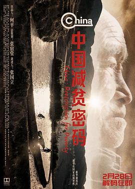 《美人与猎犬》电影高清完整版