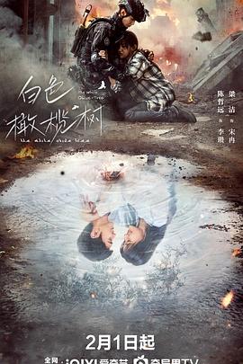 《神之山岭》动漫高清全集