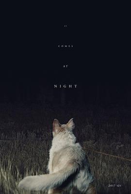 《搞上大明星第二季》电视剧高清全集