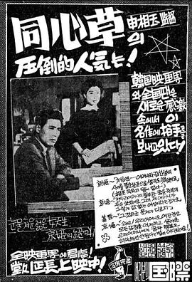 《埃米西达：圣保罗演唱会现场》电影高清完整版