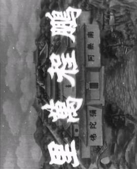 《芳华烈火》电视剧高清全集