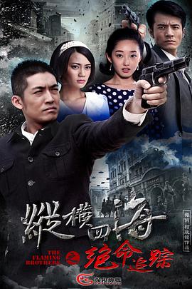 《射雕英雄传2008》电视剧高清全集