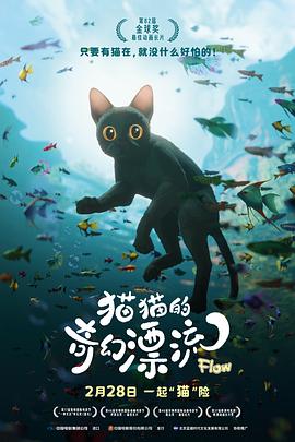 《赤脚愿望》电影高清完整版