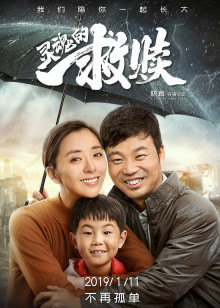 《真假学园》电视剧高清全集