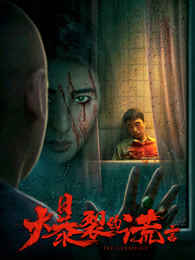 《归来的她》电视剧高清全集