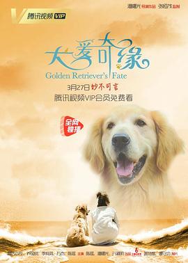 《战×恋》动漫高清全集