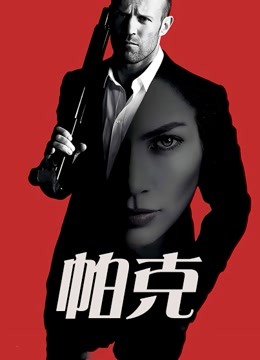 《奸细的特别使命》电影高清完整版