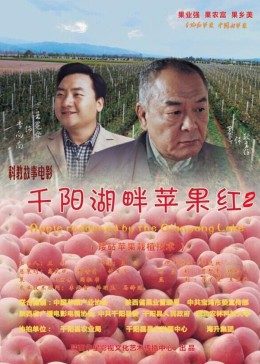 《烽烟双雄》电视剧高清全集